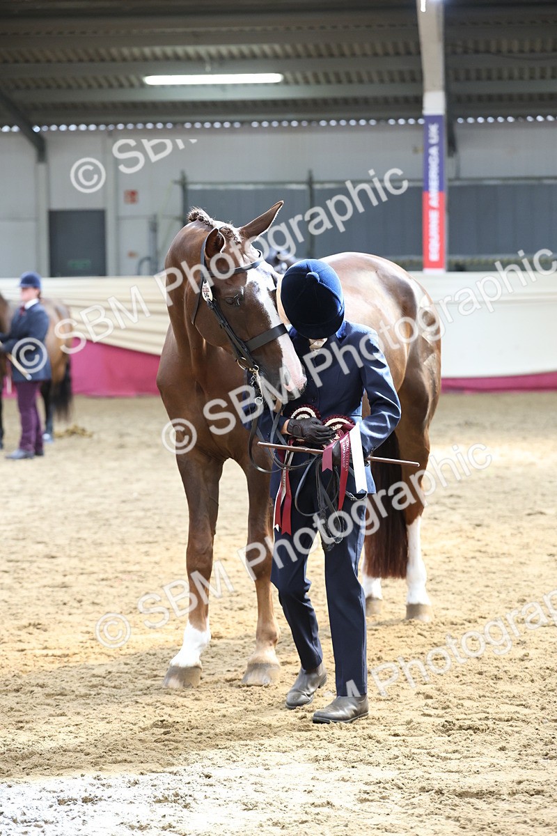 SBM_23426 - Class 903 - Supreme Final - IH Pre Vet