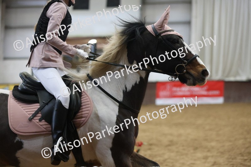 20260314-0880 - 60cm