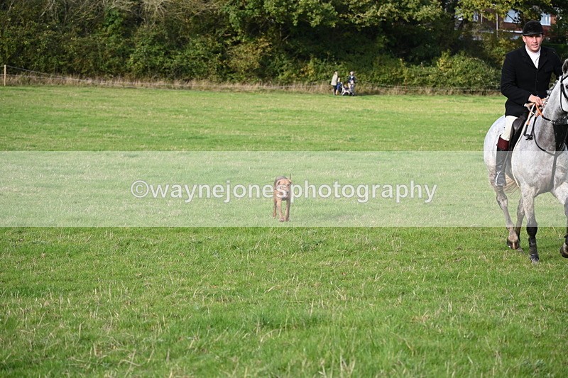 WJ6_5556 - Camera 1