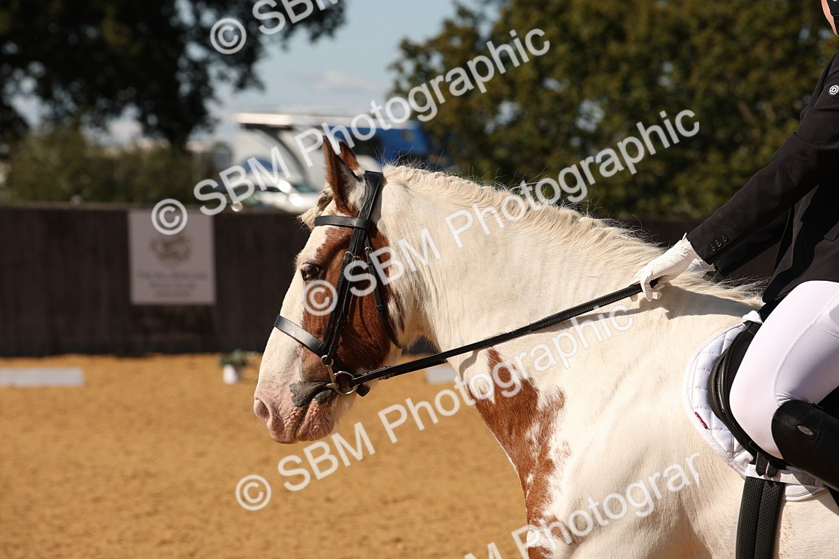 SBM_24189 - D5 - Small Tour Championship - Intro C