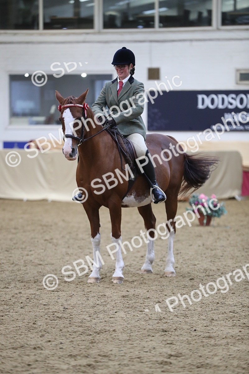 SBM_08446 - Class 11R Regional Ridden Veteran