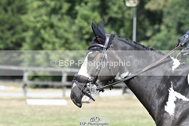 250822A-122023-22710 - DR 11.00 to 12.00