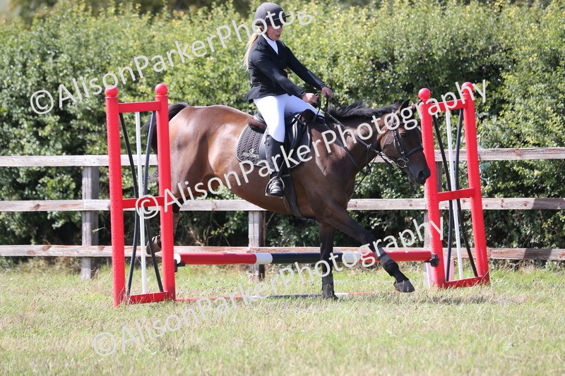 20260906-1664 - Class 10 - Horse & Hound