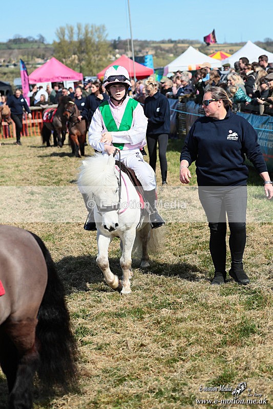 Shet 060426 86 - Shetland Pony Racing Paxford Races Easter Mon 06/04/26