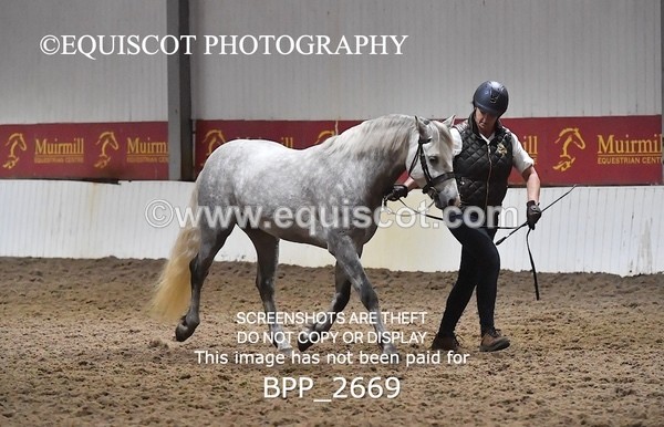 BPP_2669 - LOOSE JUMPING / SPSS
