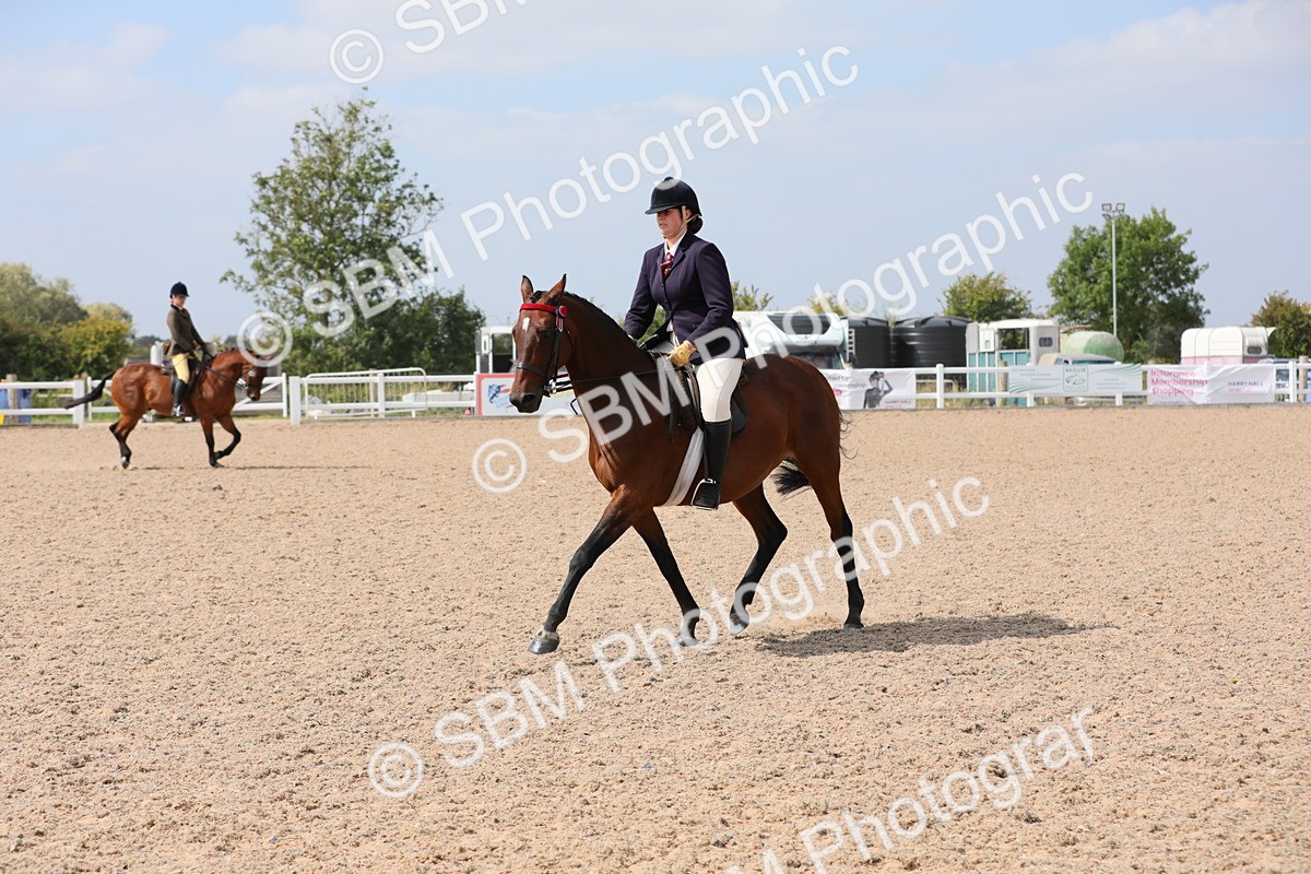 SBM_15600 - Class 311 Ridden Show Pony/ Show Hunter Pony