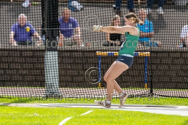 SIAB23-912888 - Field Female Set One