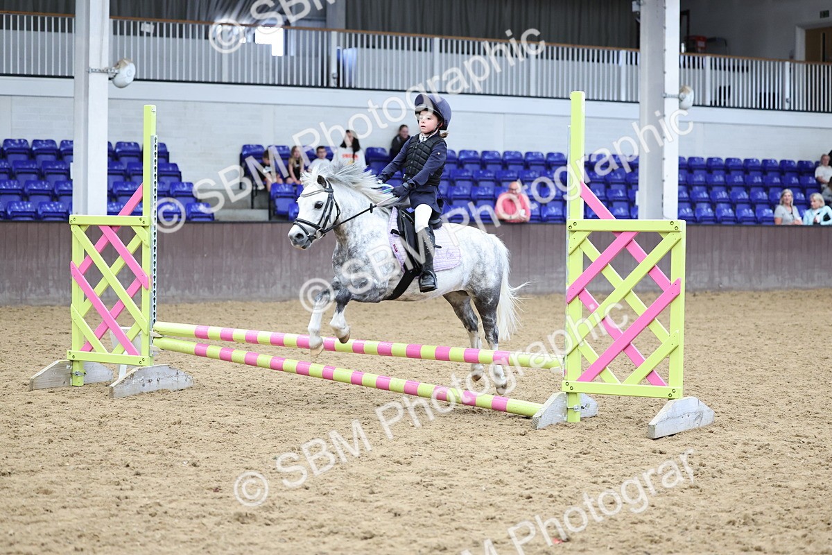 SBM_007381 - Class 2 - 50cm showjumping