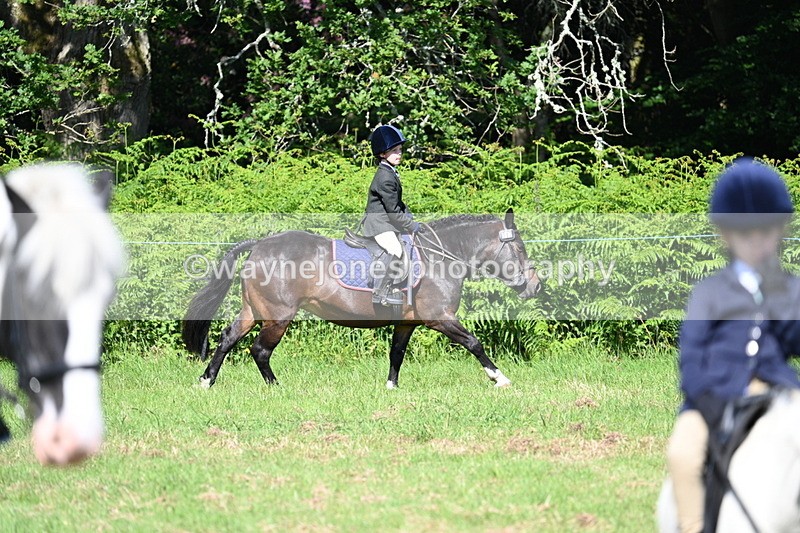 WJ7_0600 - Class 8 First Rally Pony