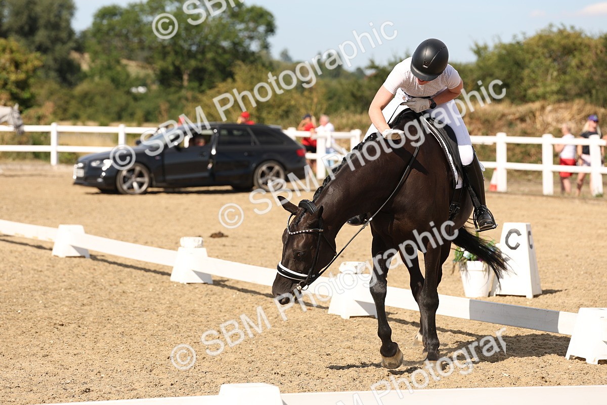 SBM_003911 - Elementary 4