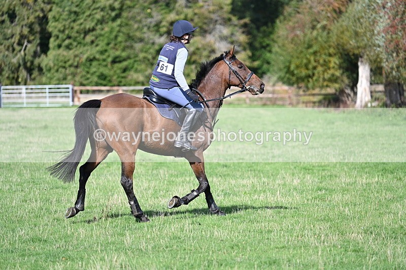 WJ7_7997 - Time 11:40 to 12:12