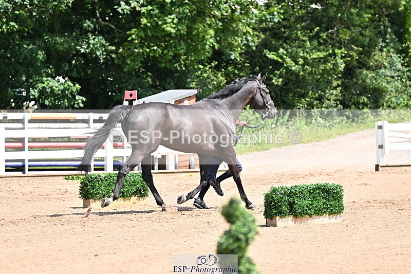 240718A-105245-01110 - Trot Up 12pm to 1pm