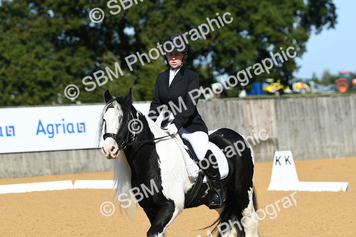 SBM_18065 - D4 - Small Tour Championship - Intro B