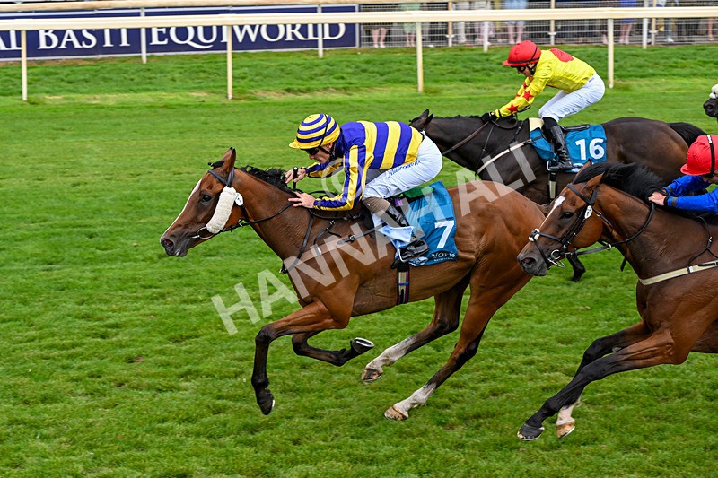 250726-Race 4-Dwindling Funds-7508 - Race 4 15.05pm Sky Bet For The Fans Handicap