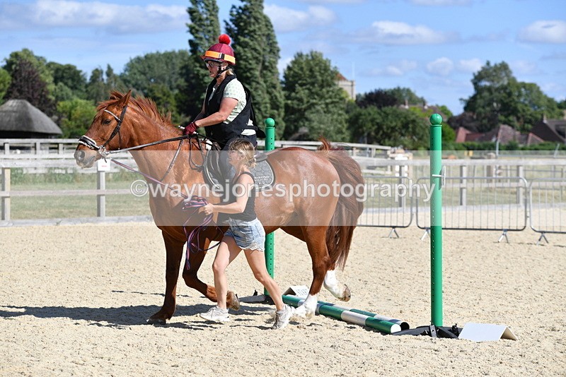 WJ5_5309 - Poles on the Floor