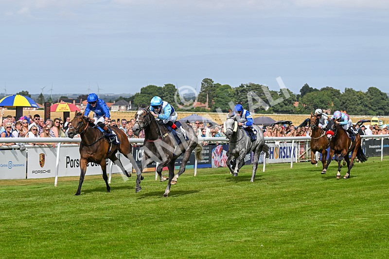 140824-Race 5-Havana Blue-6677 - Race 5