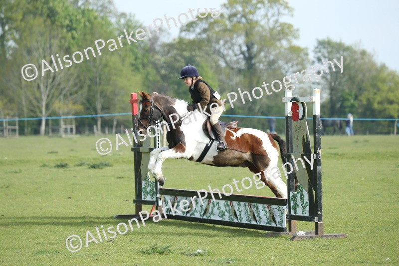 20260426-0063 - Class 13 - Rookie Jumping 50cm