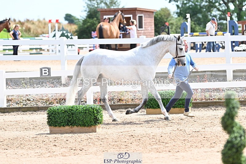 240717A-144840-02311 - Trot Up 2pm to 3pm - This folder is not in time order