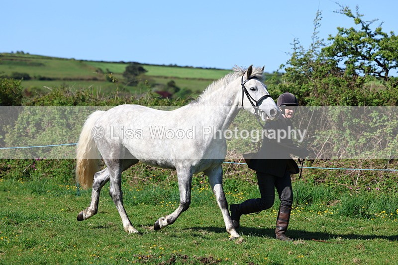 3E7A8540 - Class 13: M & M Large Breeds