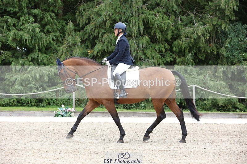 230812-150553-05051 - Cls 5 Novice Bronze 15.00 to End