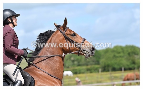 BPP_1112 - CLASS 4 FRI Newcomers/ 1.10m Open