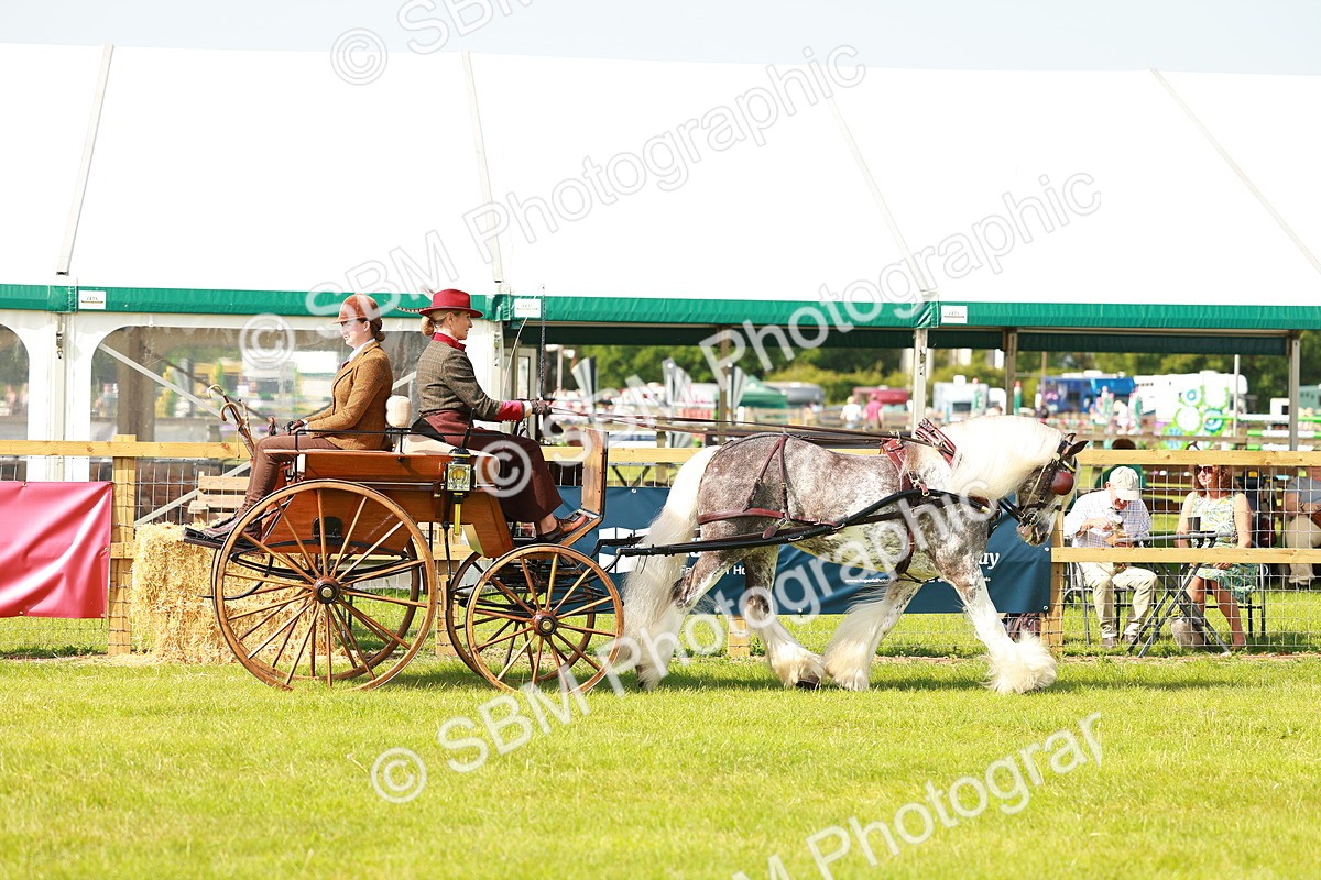 SBM_02565 - Class 2-4 - HOYS Private Driving