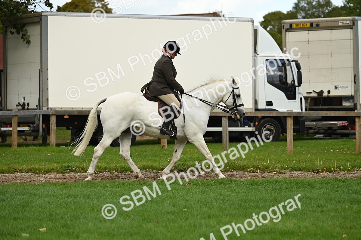 SBM_26326 - S6 - Novice & newcomer Ridden horse