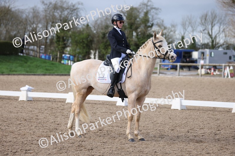 20260301-0658 - Class 4 - Novice 5