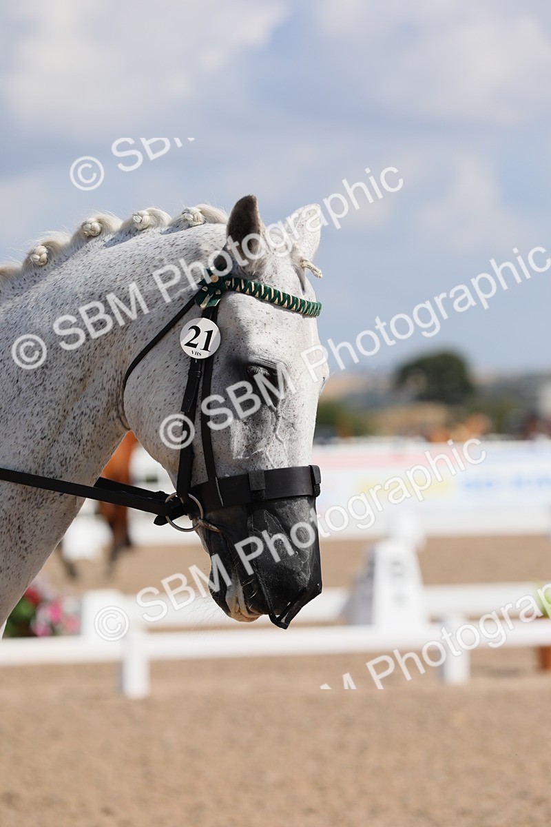 SBM_03915 - Class 31 Prelim 1