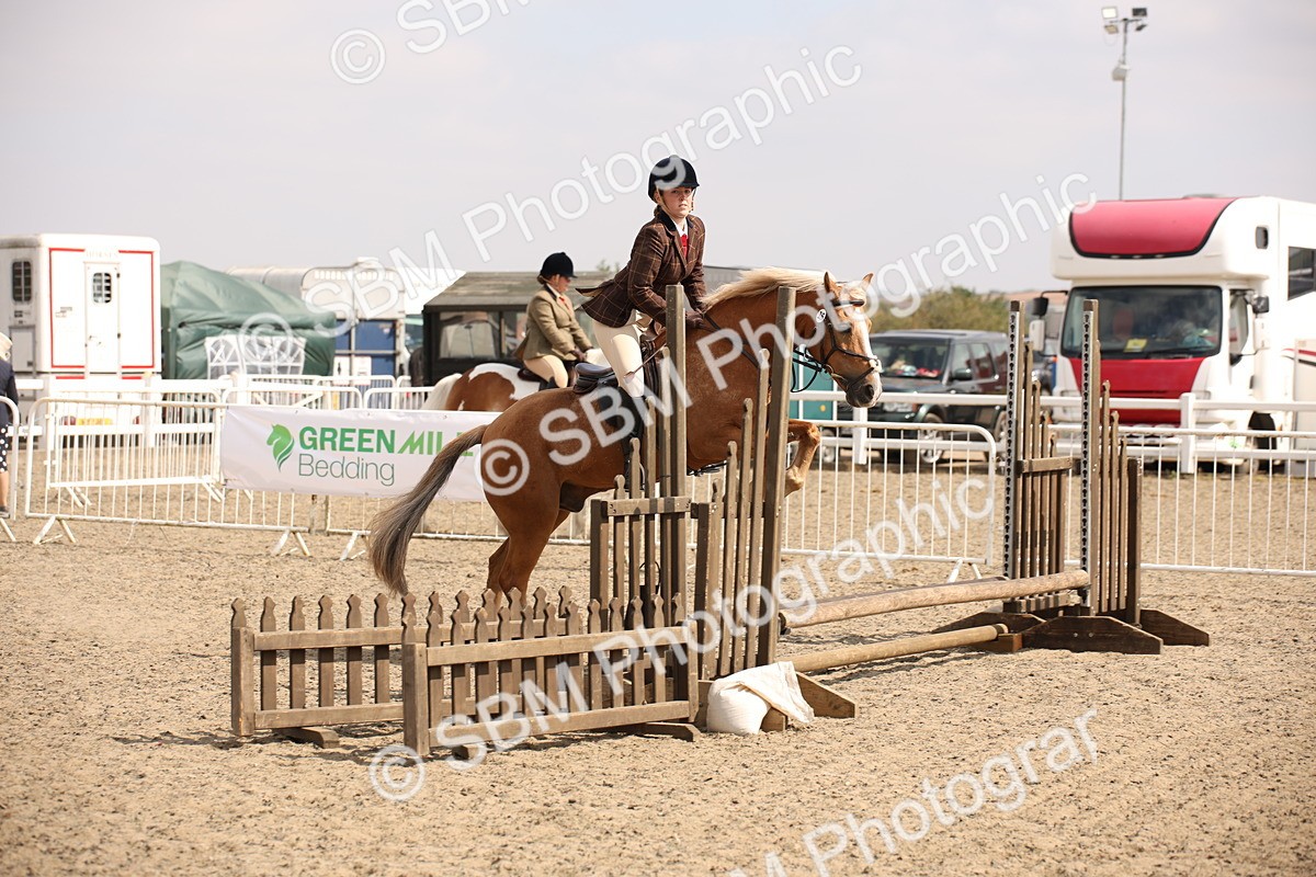 SBM_14299 - Class 407b - Working Veteran 60cm (20+)