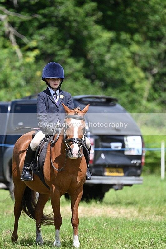 WJ7_1768 - Class 9 Pony Club Pony