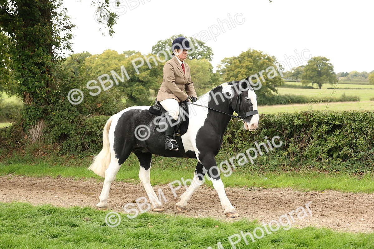SBM_67203 - S67 - Piebald & Skewbald Horse Ridden