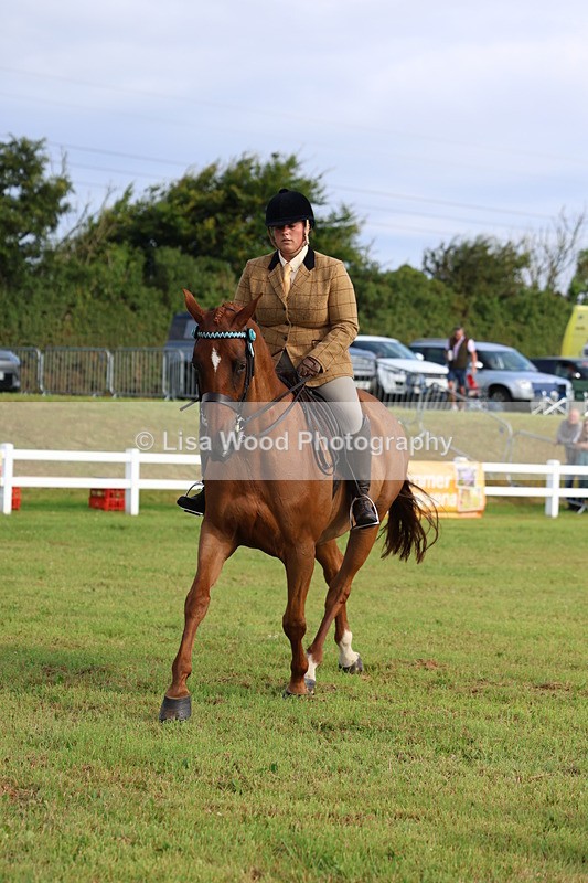 3E7A8227 - Class 2: Rising Star Large Hack/Riding Horse