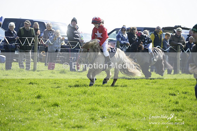 PtP 190322 80 - Wilton Hunt PtP Milborne St Andrew 19/03/22