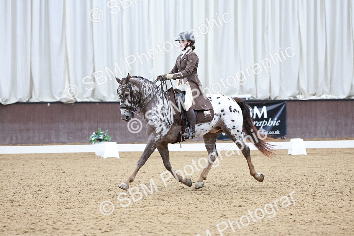 SBM_021351 - Class 14 - FEI Grand Prix - 17.40-18.34