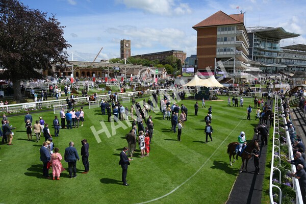 yr11062021r3-4 - Race 3 2.55pm SKF Rous Selling Stakes