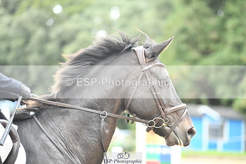 231001-152215-03203 - Cls 3 90cm