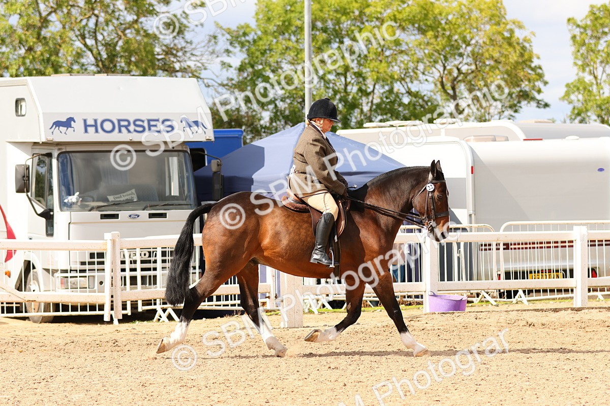 SBM_15476 - Class 214 - Ridden Show Cob