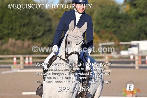 BPP_7963 - LONG ARENA