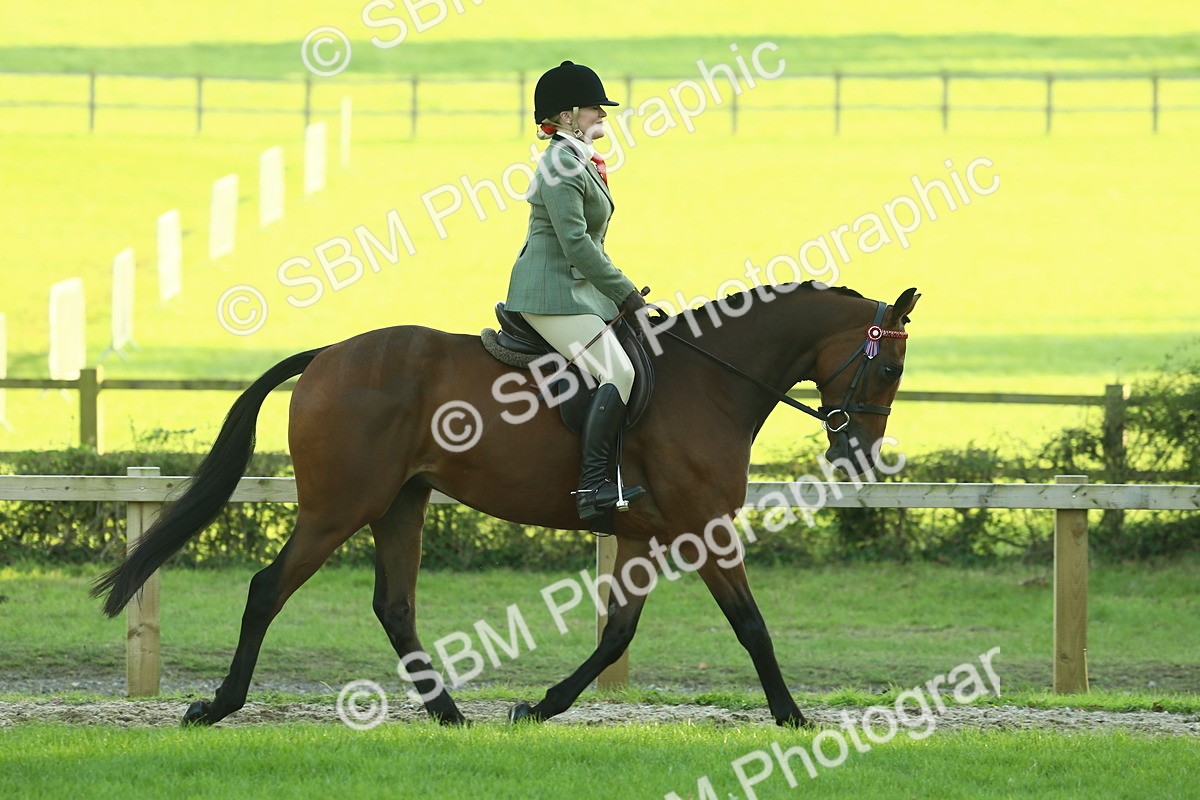 SBM_55585 - S14 - Riding Club Horse