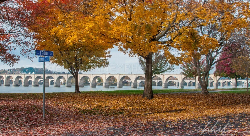 _WDB3280-HDRbc - Autumn