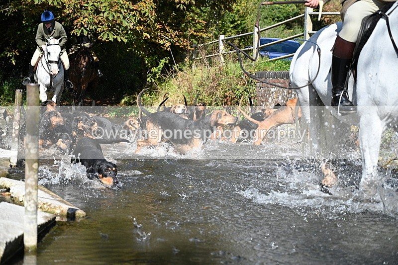 WJ7_5960 - Hounds Water Crossing
