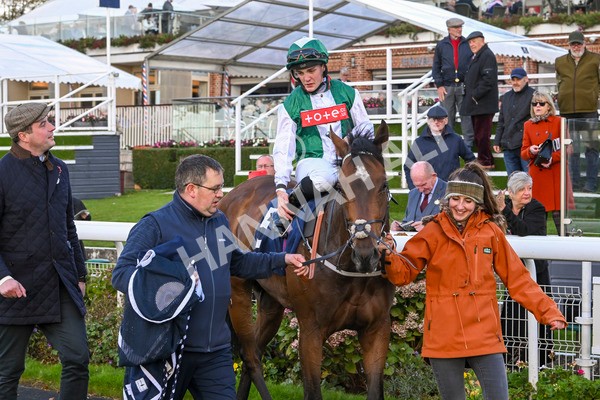 111024-Race 3-Minstrel Knight-1715 - Race 3 2.40pm William Hill Finale Handicap