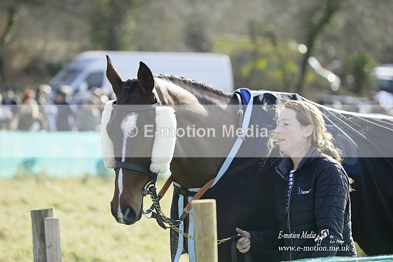 PtP 260222 538 - Kingston Blount Racing Club Point-to-Point 26/02/22