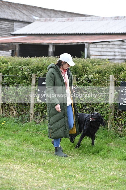 WJ5_9080 - Class 1 Best Cross Breed / Heniz 57