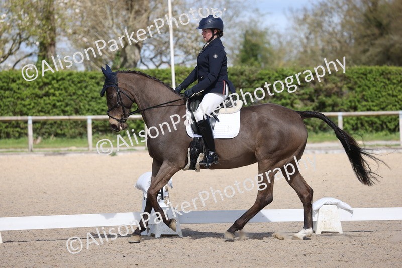 20260405-0503 - Class 5 - Elementary 5