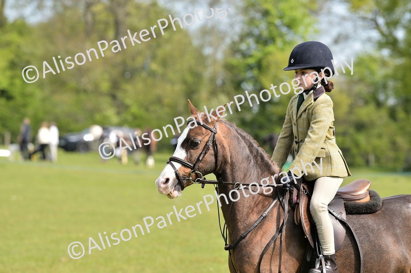20260426-2266 - Class 20 - Beginner Working Hunter