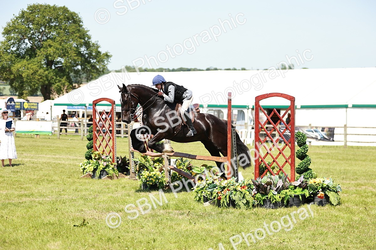 SBM_17360 - Class 110-111 - Training Stakes (70cms 80cms)