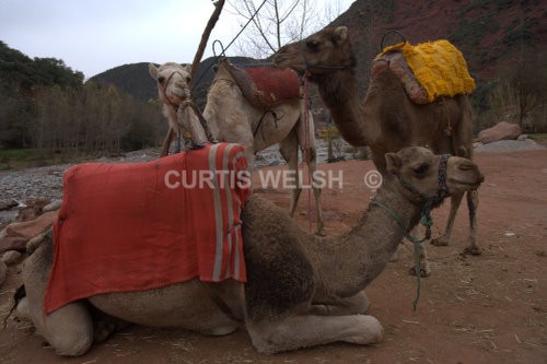  - MOROCCO