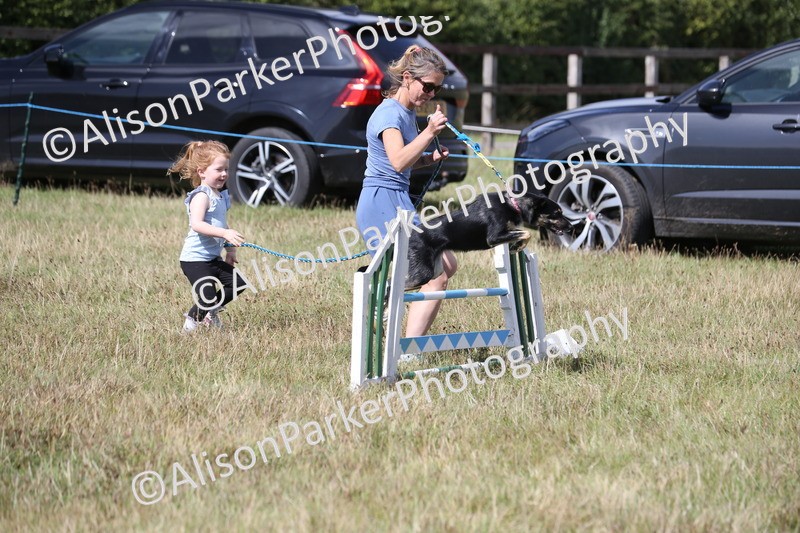 20260906-3435 - Class 34 - Dog Agility
